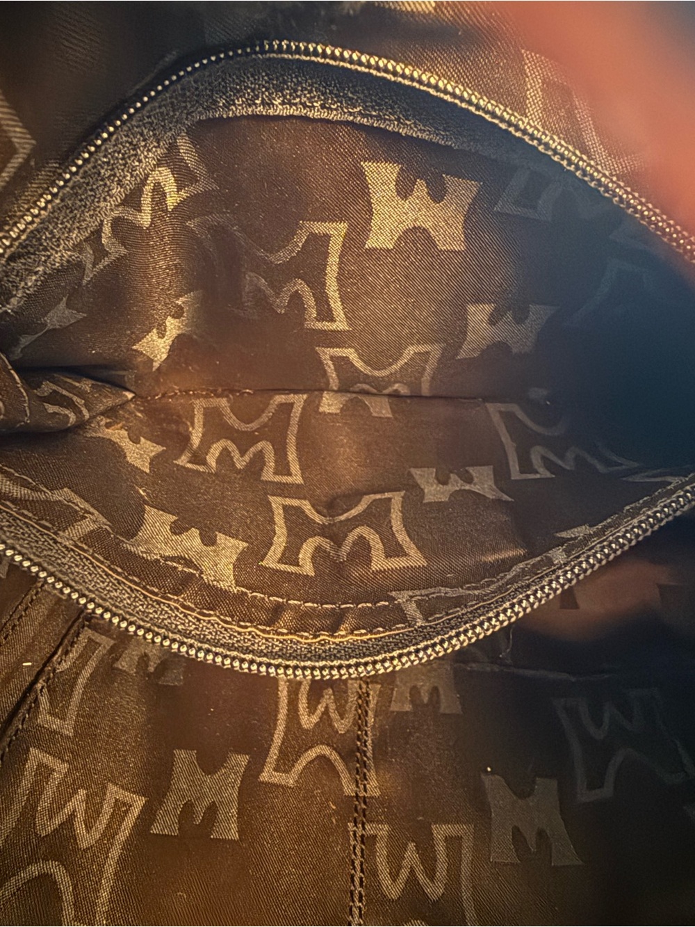 Metrocity EUC Y2K LIMITED EDITION Hobo Bag - Picture 13 of 15